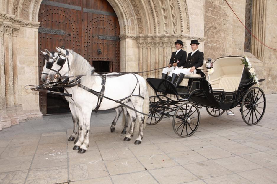 Carruajes calesas coches de caballos valencia