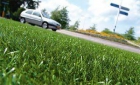 Cesped artificial Green Plus Deluxe - mejor precio | unprecio.es