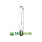 GE Lucalox XO 600W SHP 230V - mejor precio | unprecio.es