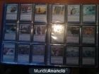 VENDO CARTAS MAGIC RARAS A PRECIO XOLLO X NO JUGAR - mejor precio | unprecio.es