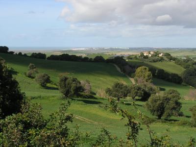 Hacienda In the countryside in Vejer