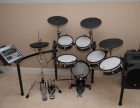 2010 Roland TD-20 - mejor precio | unprecio.es