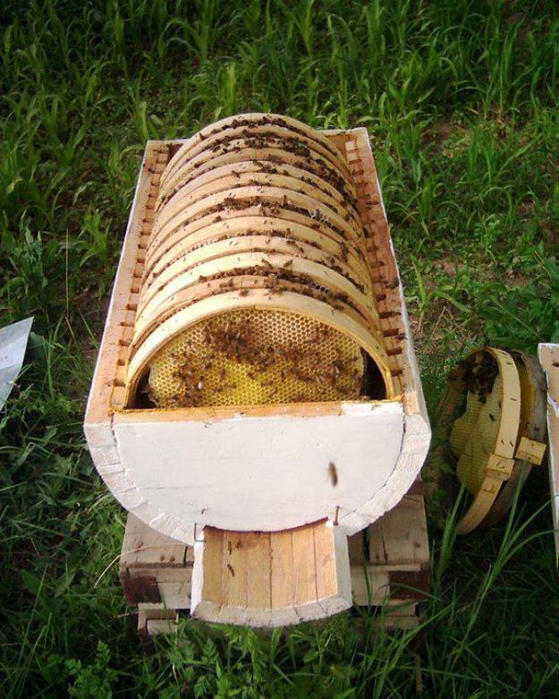 Necesito colmenas o material para apicultura a precio razonable