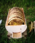 Necesito colmenas o material para apicultura a precio razonable - mejor precio | unprecio.es