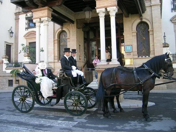 Se alquila coche de caballos para bodas y otros eventos