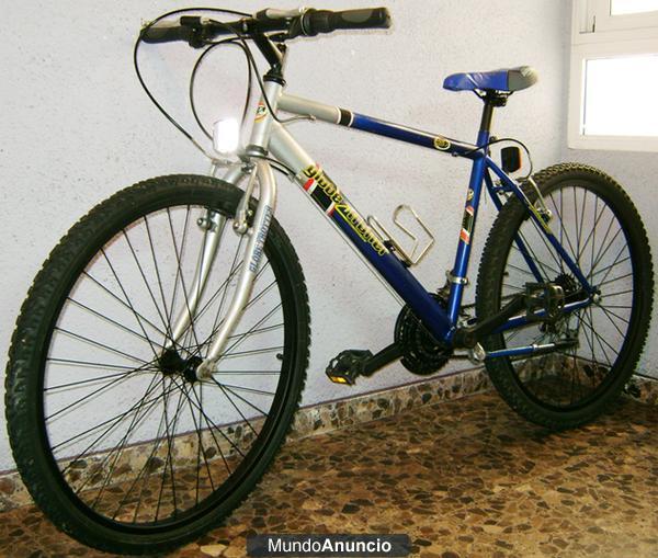 SE VENDE BICI DE MONTAÑA - GLOBE TROTTER
