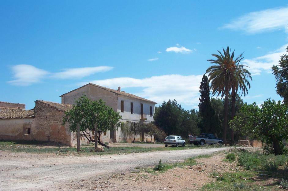 Masia en Cheste 10500m terreno 1900m construidos