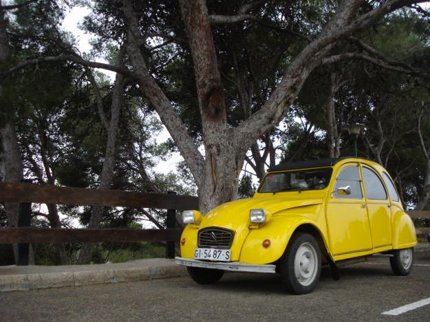 SE VENDE CITROEN 2CV SPECIAL