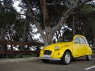 SE VENDE CITROEN 2CV SPECIAL - mejor precio | unprecio.es