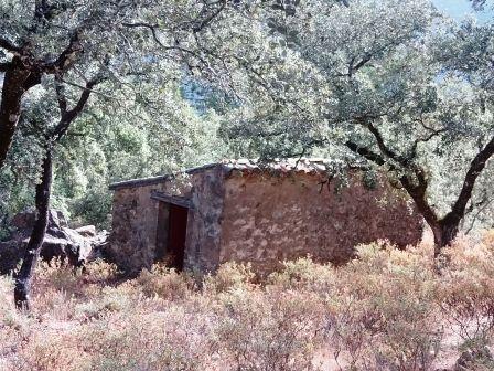 Finca de 50000 m2 de encinas con casa de apero