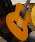 guitarra de Luthier - mejor precio | unprecio.es