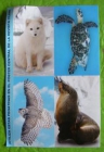 Pegatinas Animales Revista Clan - mejor precio | unprecio.es