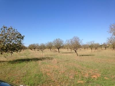 Finca rústica en Campos