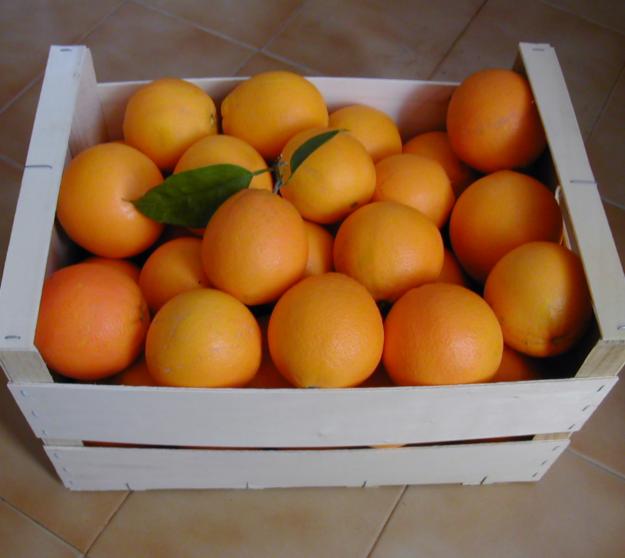 Naranjas online de la huerta a su casa.