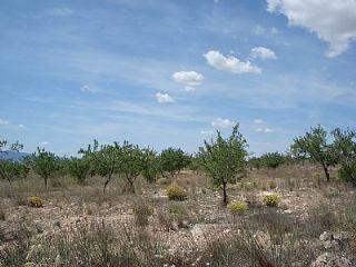 Terreno/Finca Rstica en venta en Pinoso, Alicante (Costa Blanca)