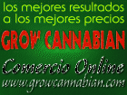 GROW SHOP EN BADALONA GROWCANNABIAN - mejor precio | unprecio.es