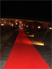 alfombra roja para las bodas - mejor precio | unprecio.es