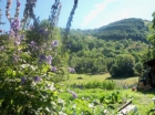 Apartamento en chalet : 4/6 personas - valloire saboya rodano alpes francia - mejor precio | unprecio.es