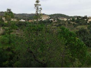 Finca/Casa Rural en venta en Calvià, Mallorca (Balearic Islands)