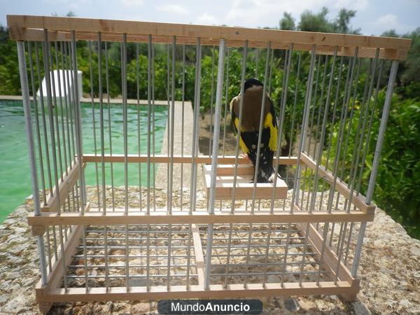 VENDO JAULAS TRAMPA PARA PAJAROS