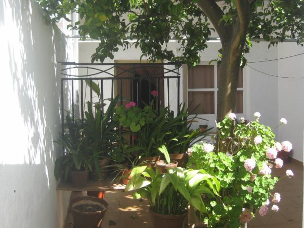 VENDO CASA EN SIERRA DE YEGUAS ( MALAGA )