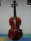 Viola expressivo estudio 15 - mejor precio | unprecio.es