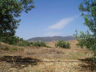 Finca/Casa Rural en venta en Alora, Málaga (Costa del Sol)