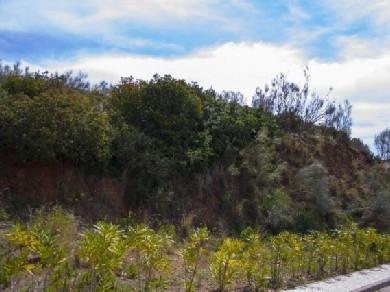 Terreno se vende en Benahavis, Costa del Sol