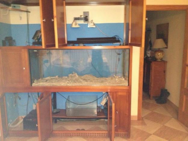 Vendo acuario 500l