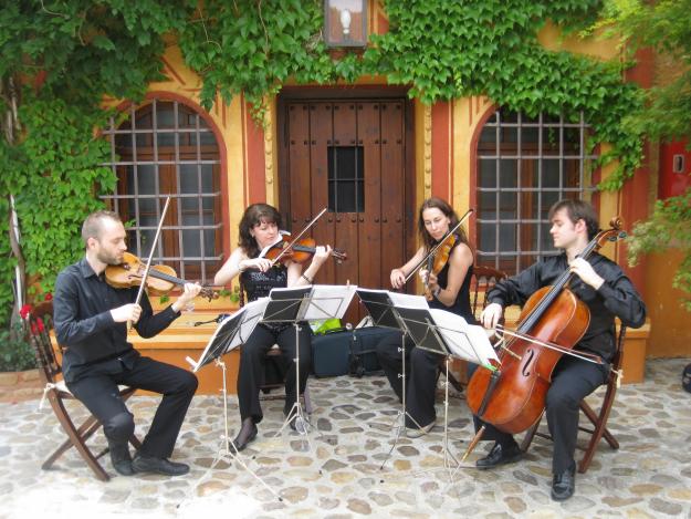 Cuarteto de cuerda, arpa celta para bodas y eventos.