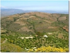 11b  , 7ba   in Contrapeso,  Canary Islands   - 1200000  EUR - mejor precio | unprecio.es