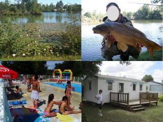 Mobilhome : 4/6 personas - piscina - charente-maritime  poitou-charentes  francia