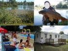 Mobilhome : 4/6 personas - piscina - charente-maritime poitou-charentes francia - mejor precio | unprecio.es