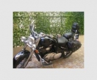 SUZUKI BOLUSIA 800 - mejor precio | unprecio.es