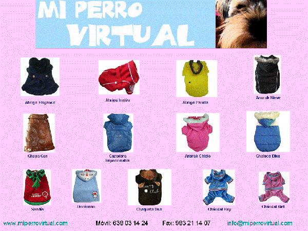 Accesorio y ropa para perros