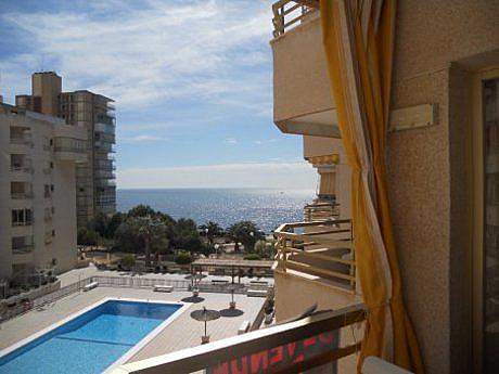 Apartamento en Campello (el)