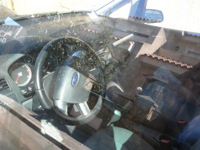 FORD FOCUS CMAX - CADIZ