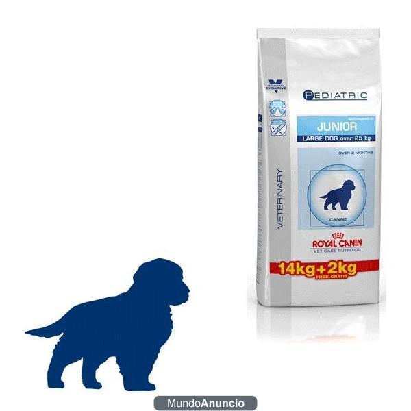 Pienso Royal Canin Junior Large Dog a 27,59€