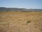 FINCA CON 450 HAS PARA GANADO Y COTO DE CAZA - mejor precio | unprecio.es