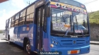 VENDO BUS CON ACCIONES - mejor precio | unprecio.es