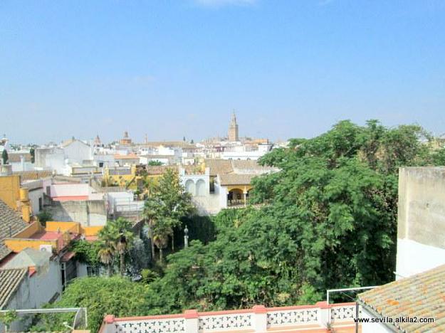 Estudio con vistas a los jardines de Casa Pilatos