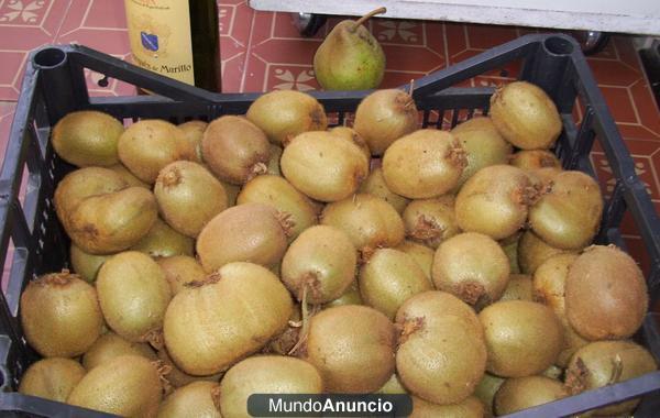 KIWIS ECOLOGICOS