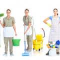 Mujer sevillana  para servicio doméstico -horas-