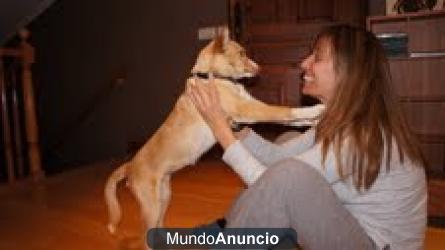 Meryl con 5 mesesitos apunto de ser sacrificada