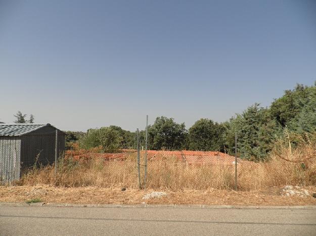 Chalet en Villa del Prado