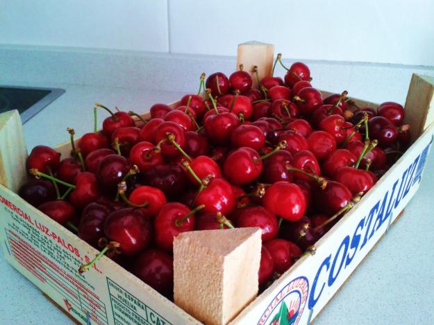 Vendo Cerezas del Bierzo