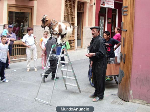 VENDO LA CABRA DE CAMELA Y REGALO LA ESCALERA