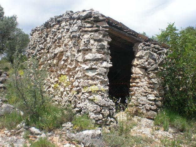 finca rustica con olivos en Chella (Valencia)