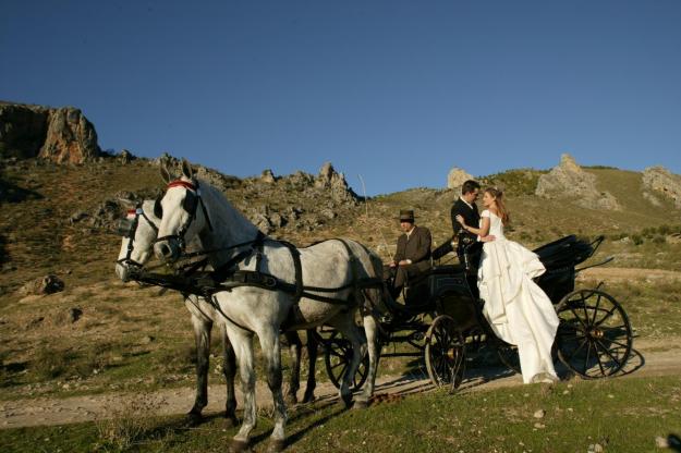 Coches de caballos para bodas