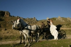 Coches de caballos para bodas - mejor precio | unprecio.es
